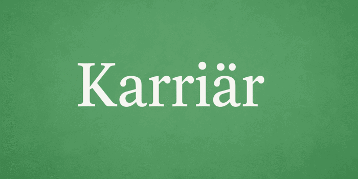 Karriär