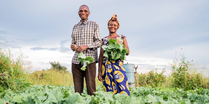 Solel gör det möjligt för afrikanska bönder, som här i Zambia, att pumpa upp vatten för att vattna sina åkrar vilket ger en avsevärt bättre avkastning och därmed större inkomst. Sida, Jason Mulikita