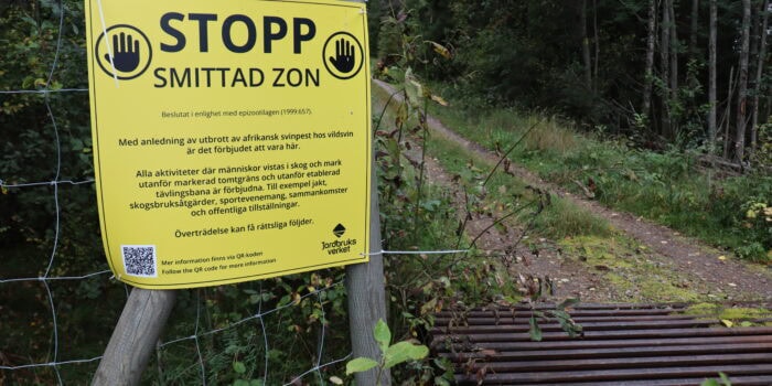 Smittad zon vid utbrott av afrikansk svinpest. Foto: Sofia Weimarck, LRF