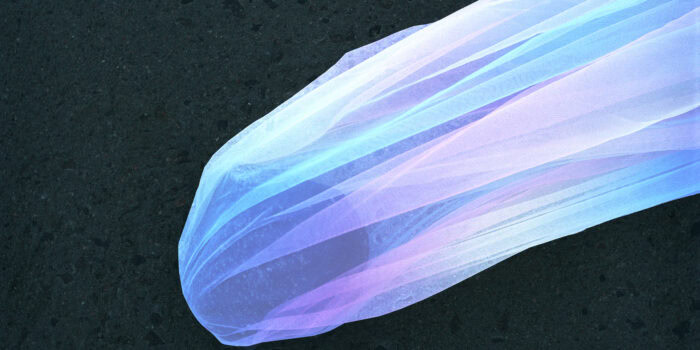 The Comet 2022 Charlotta Hammar