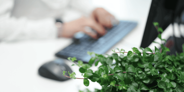 af5f5bacc73bb1a2 800x800ar