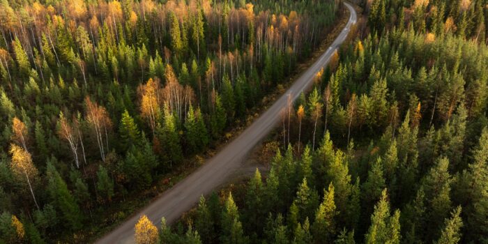 skogsbilvag harads DJI 0677 web