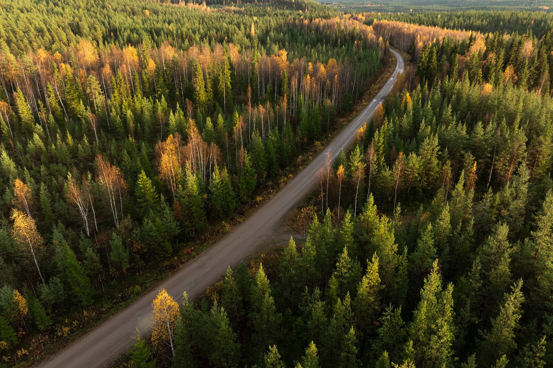 skogsbilvag harads DJI 0677 web
