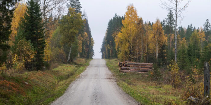 Foto: Åke Sjöström, Skogsstyrelsen. Bilden är fri att använda i samband med rapportering om den här nyheten.