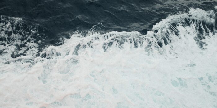 shutterstock 2641333509 (1)