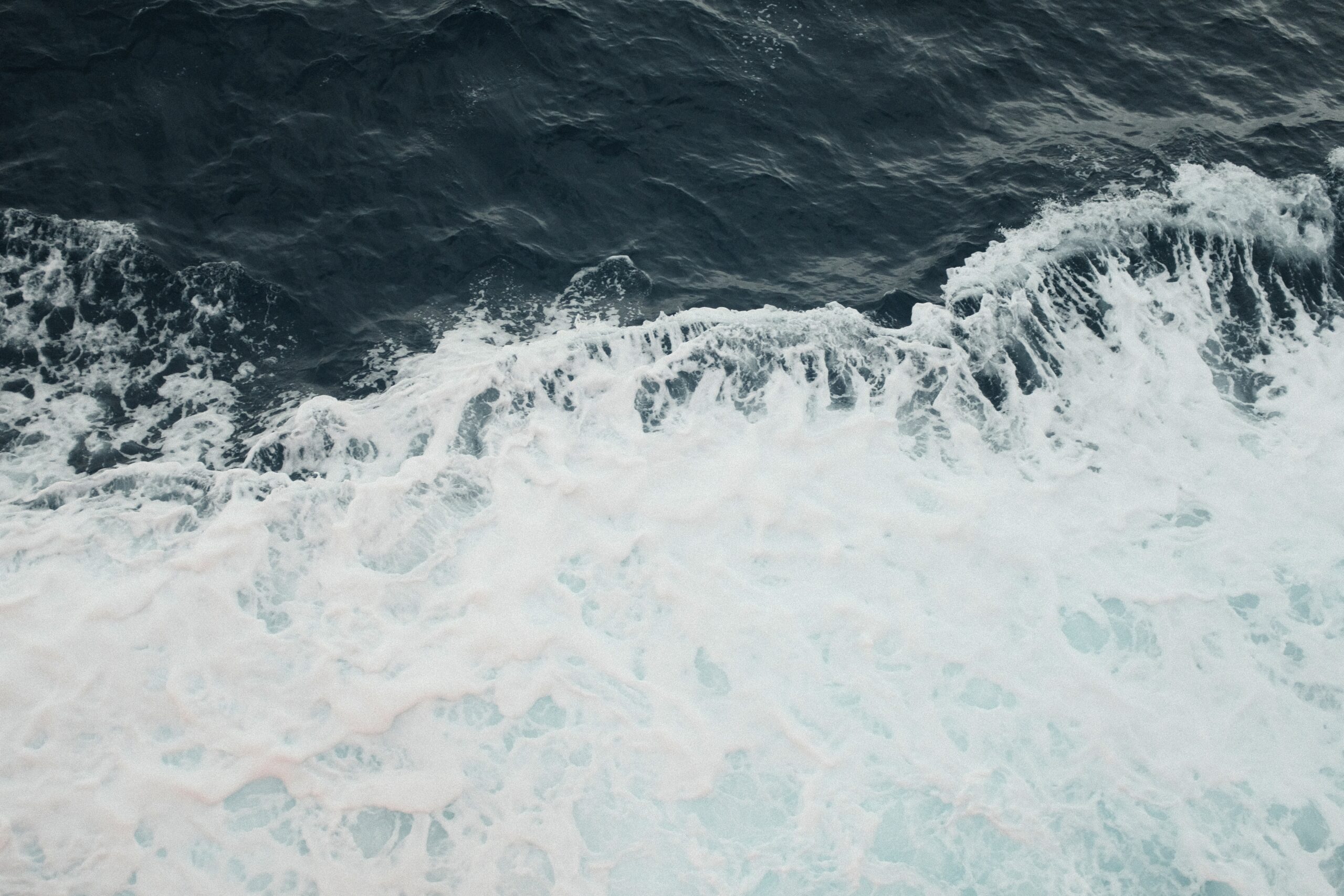 shutterstock 2641333509 (1)