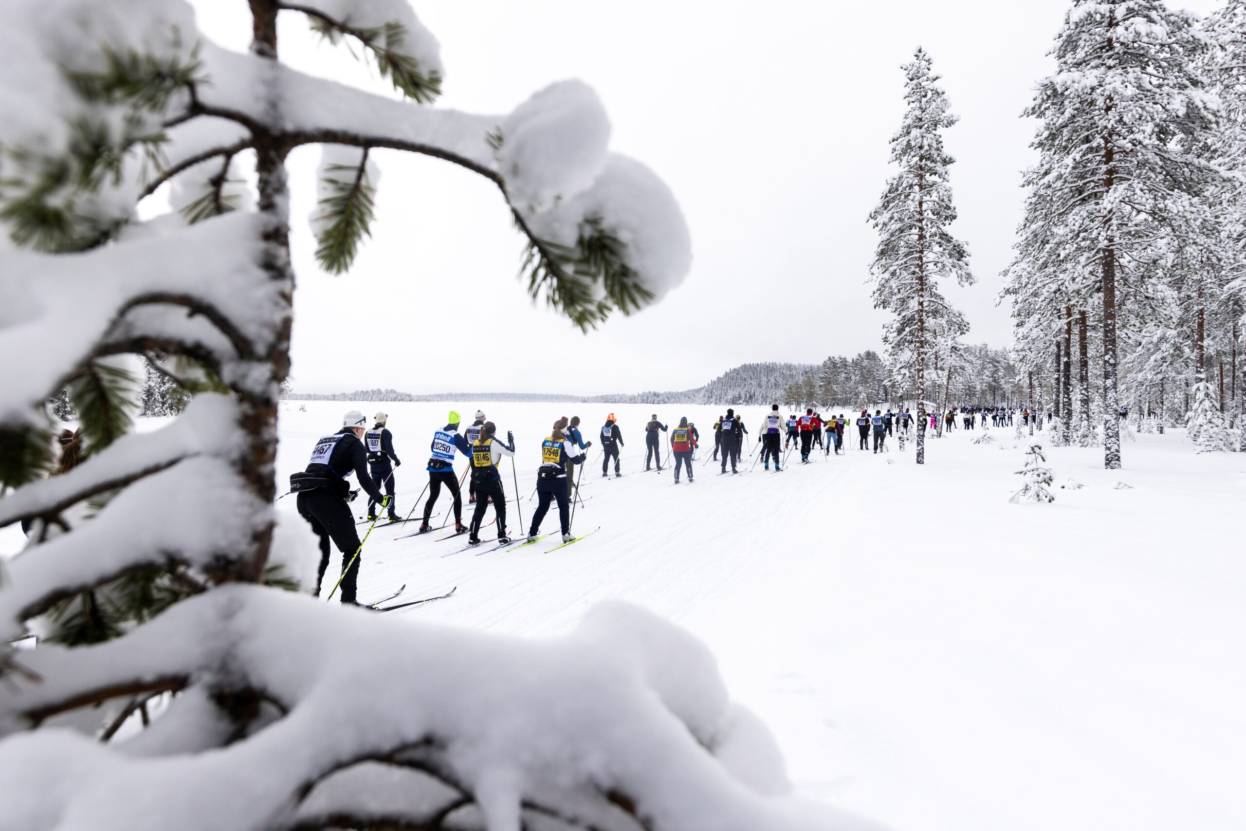 260301 Vasaloppet 55