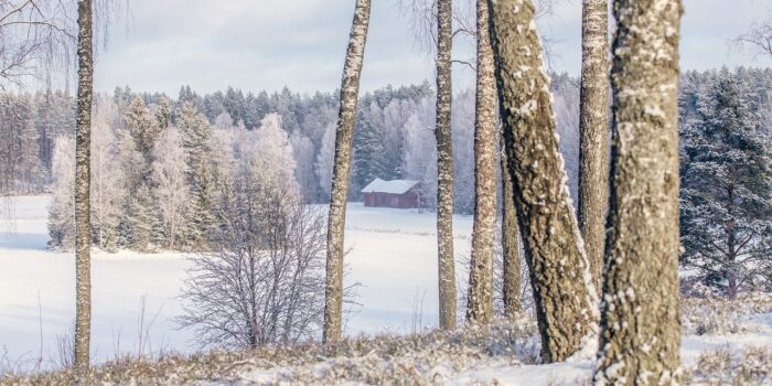 fotografafkleen winter 4071041 1280