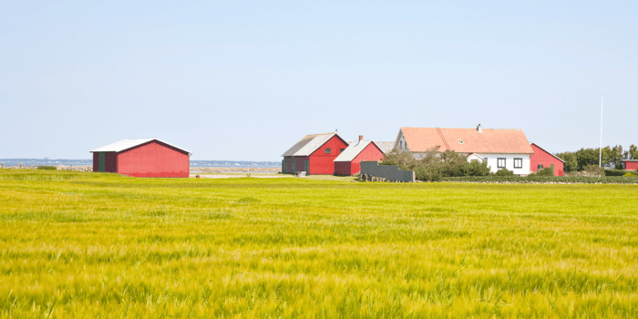 I september 2025 uppgav 57 procent av jordbruksföretagarna att de hade spannmål och raps i lager. I december var andelen 53 procent. Mest i lager fanns