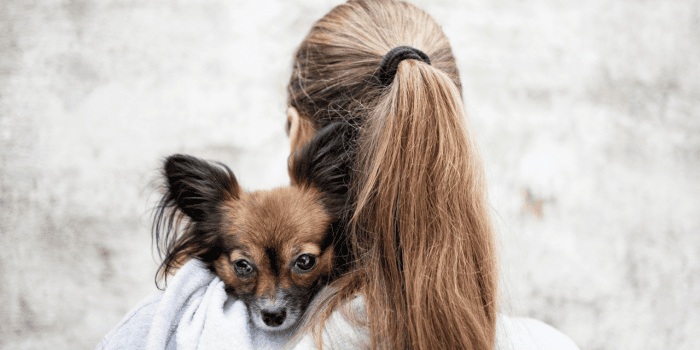 Jordbruksverket varnar för riskerna med att köpa hund från länder där rabiessituationen inte är under kontroll. Myndigheten kommer också att göra utökade