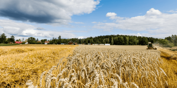 Att öka livsmedelsproduktionen i norra Sverige är viktigt – inte minst utifrån ett beredskapsperspektiv. Jordbruksverket föreslår