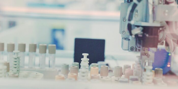 testalize me ZdToNCVLpOg unsplash