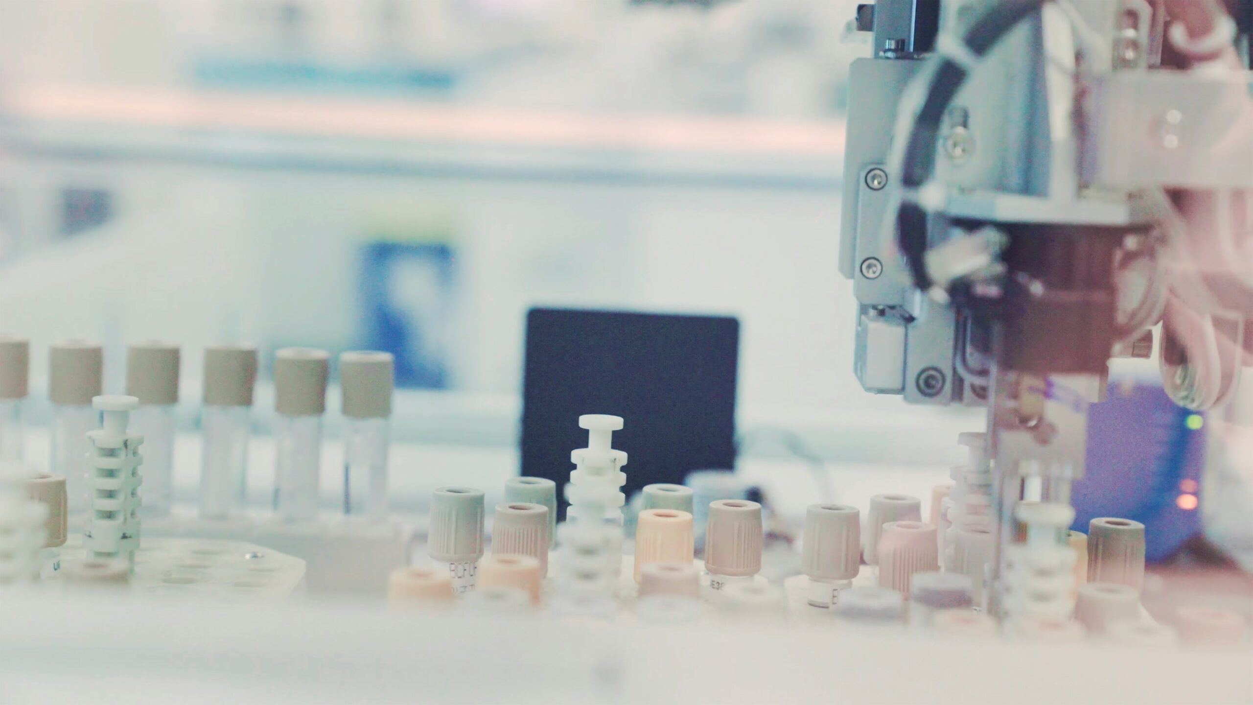 testalize me ZdToNCVLpOg unsplash