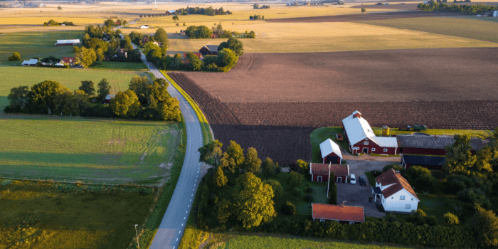 FLACK utvald bild (1)