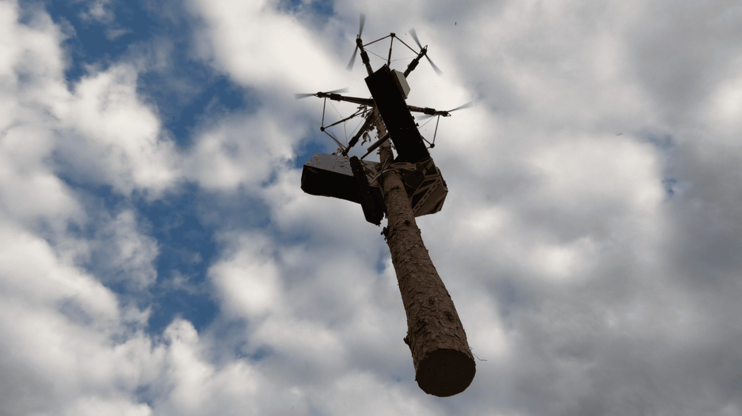 bf8ab61af87d3c58 org