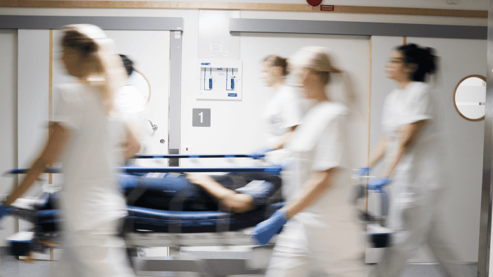 Tre handlingsalternativ ska utredas djupare, införandet av Millennium stoppas och SDV-