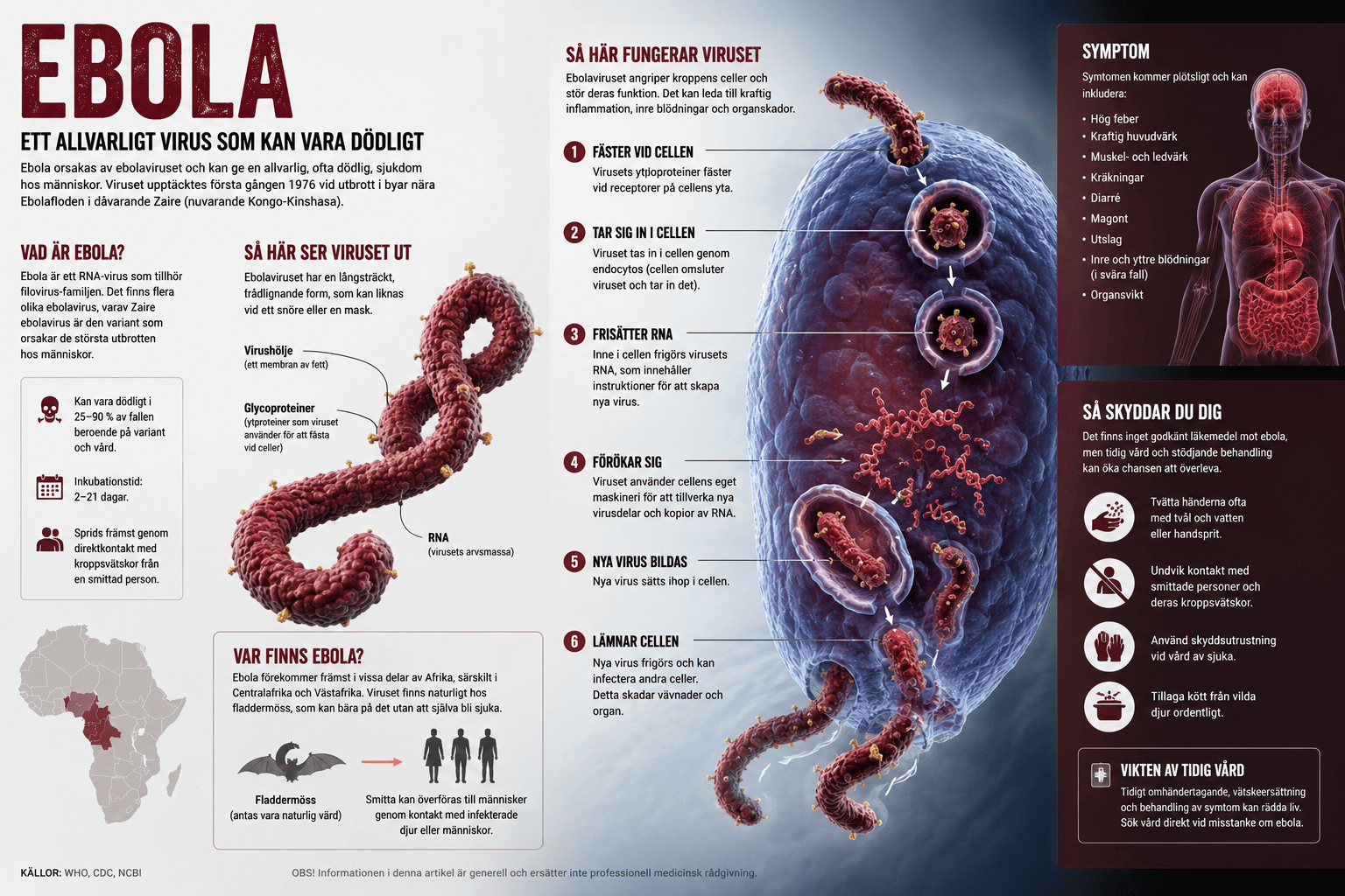 Ebola