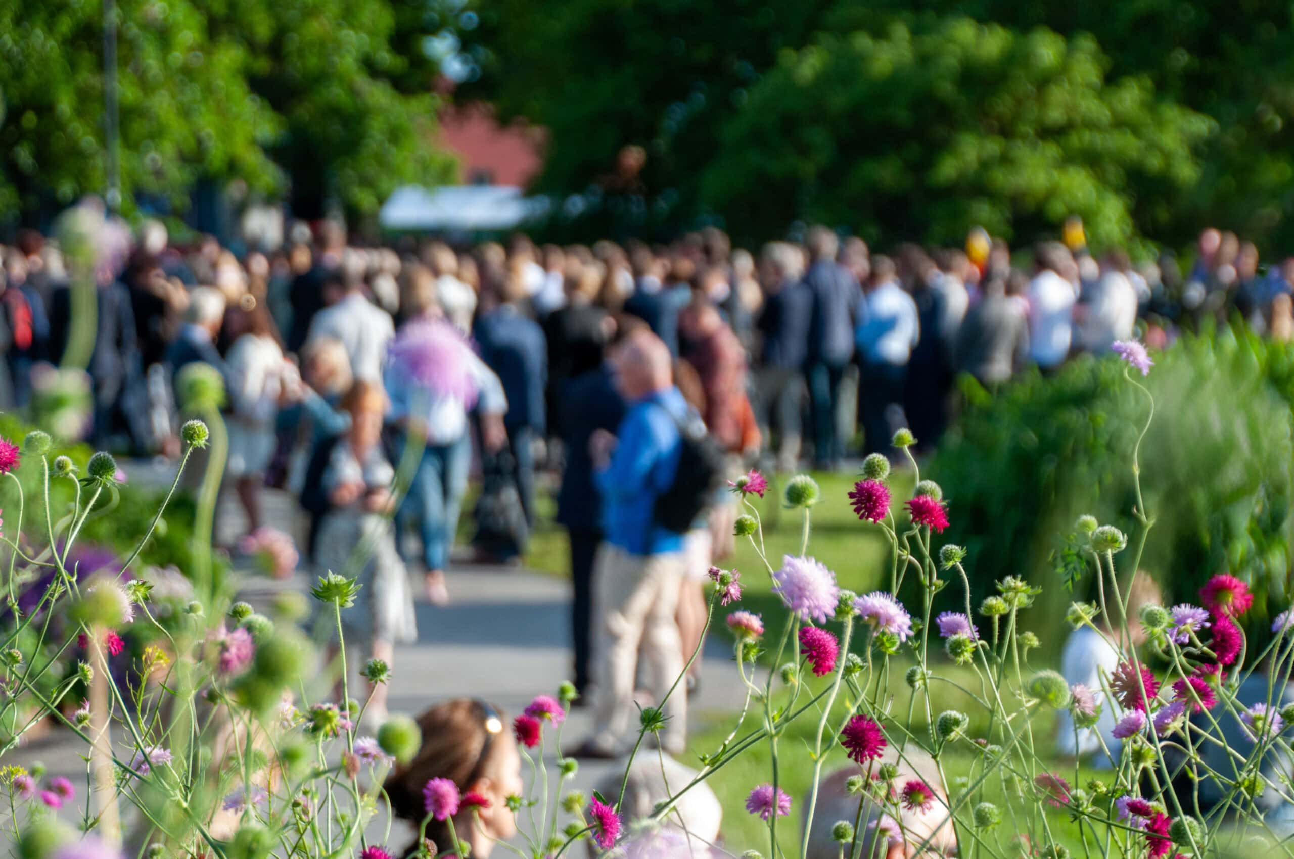 Blommor och folkmassa Almedalen