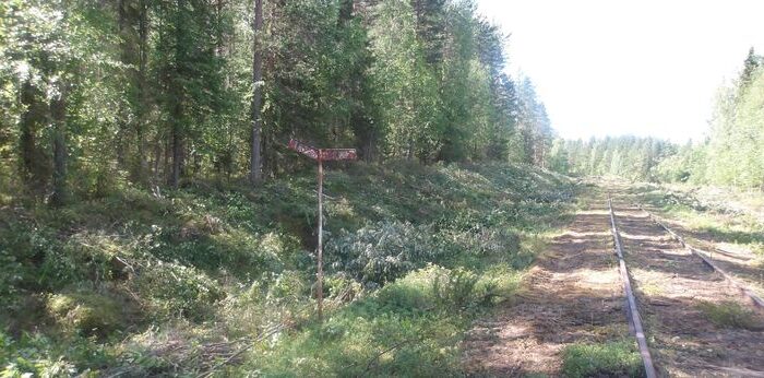 Röjd del av järnvägen mellan Morjärv - Karungi - Haparanda. Foto: Trafikverket