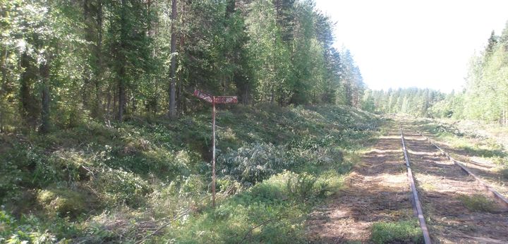Röjd del av järnvägen mellan Morjärv - Karungi - Haparanda. Foto: Trafikverket