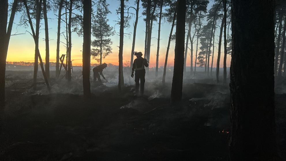 2 firefighters in protective gear work among tall trees in a smoke-filled forest at dusk, damping down the aftermath of a wildfire while the sky glows orange and blue on the horizon. © GFFF-V DE1 Fire and Rescue Service Bonn