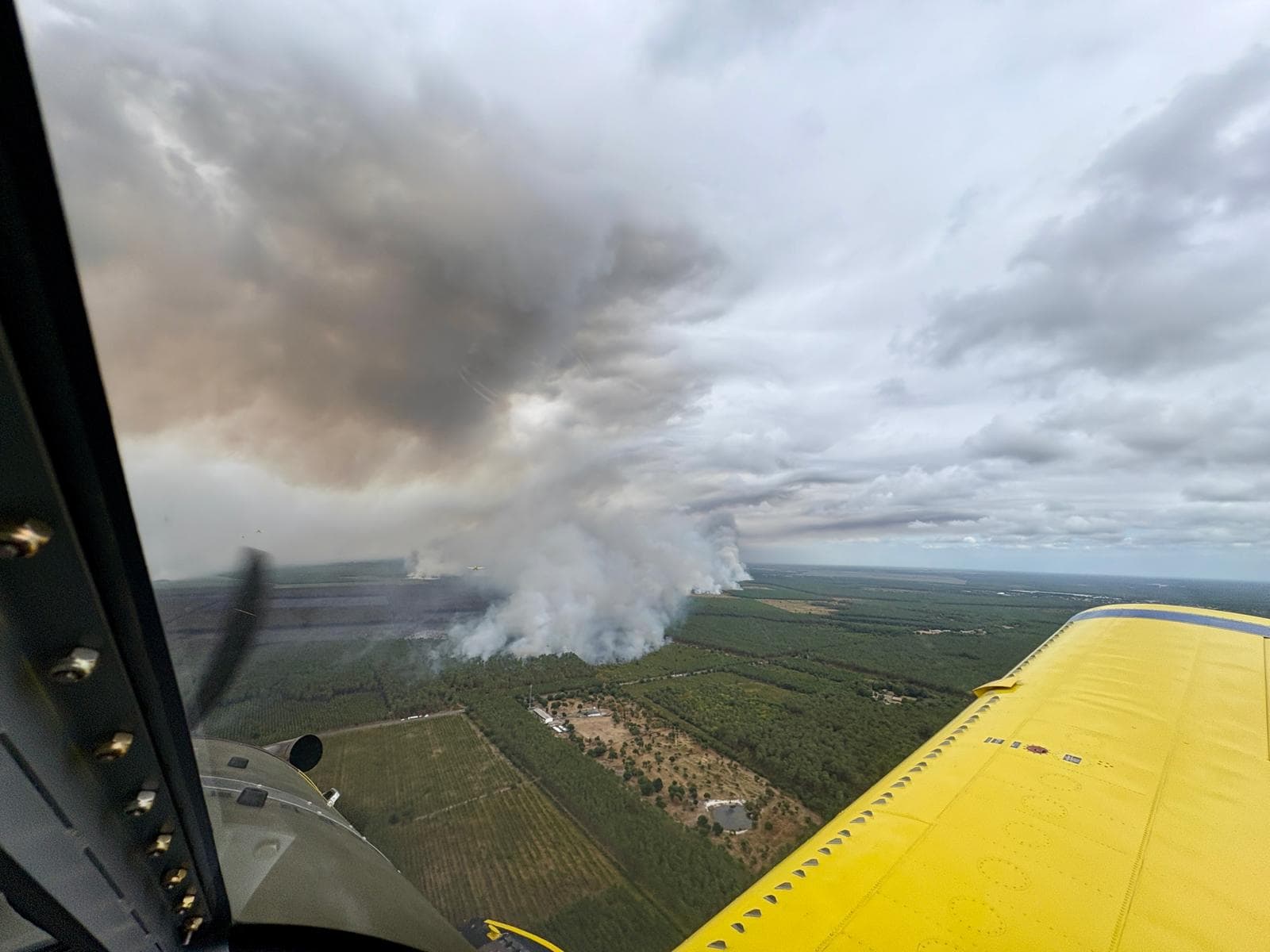 Bekämpning av skogsbrand med skopande flygplan. Bild tagen inne i ett av de svenska EU-planen. Fotograf saknas.