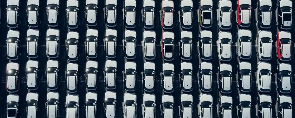 Foto: Unsplash/Alexander Psiuk
