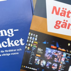 gängsnacket och nätet och gängen